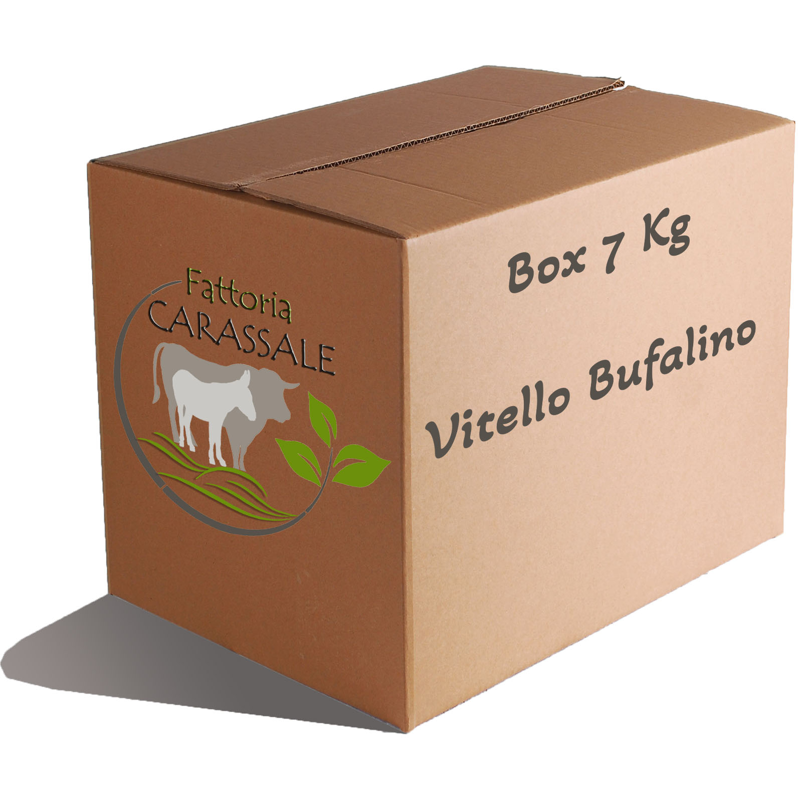 Joe Bufalino Trigger Pointabout.Html - 8kck357